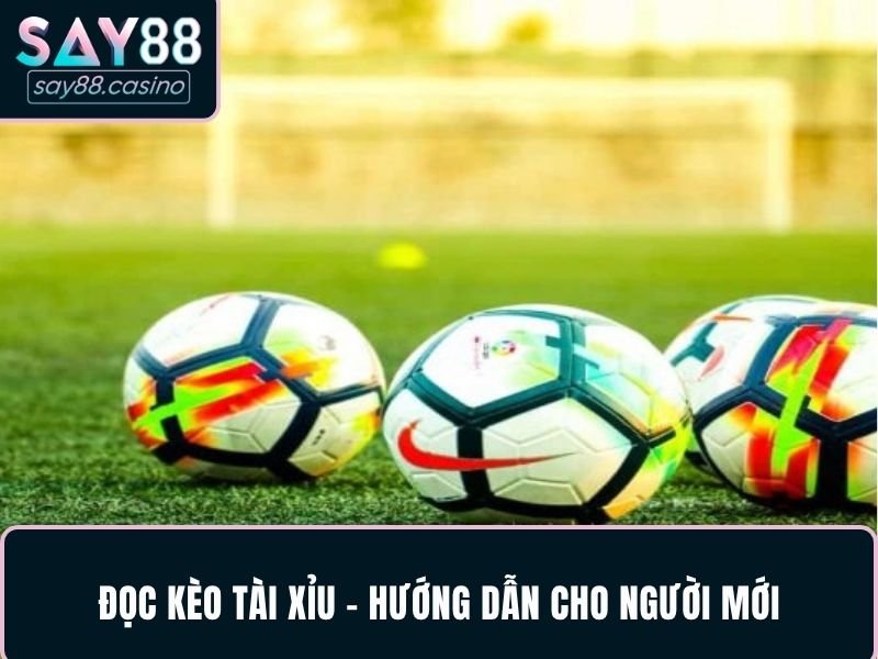 Đọc kèo tài xỉu - Hướng dẫn cho người mới