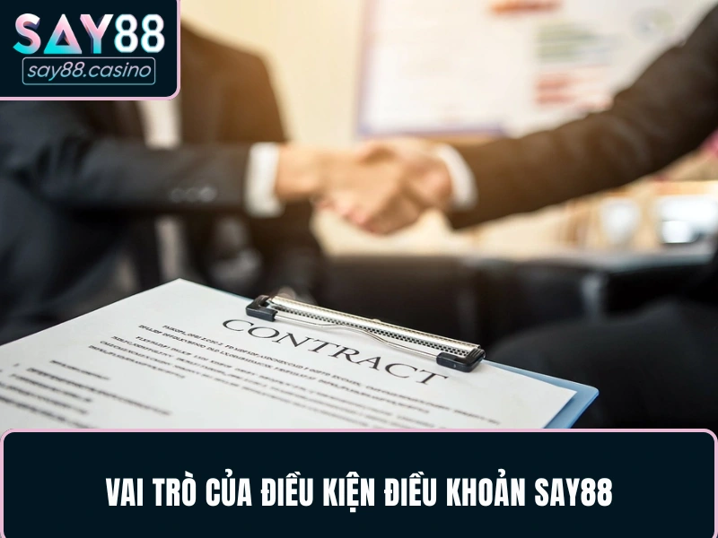 Điều Kiện Điều Khoản SAY88 Chuyên Gia Tổng Hợp Mới Nhất Vai trò của điều kiện điều khoản SAY88