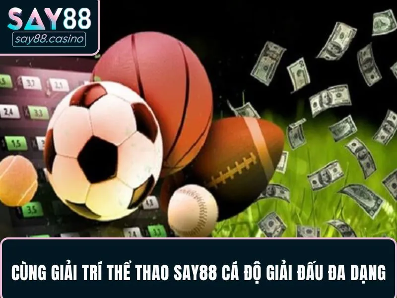 Cùng giải trí thể thao SAY88 cá độ giải đấu đa dạng