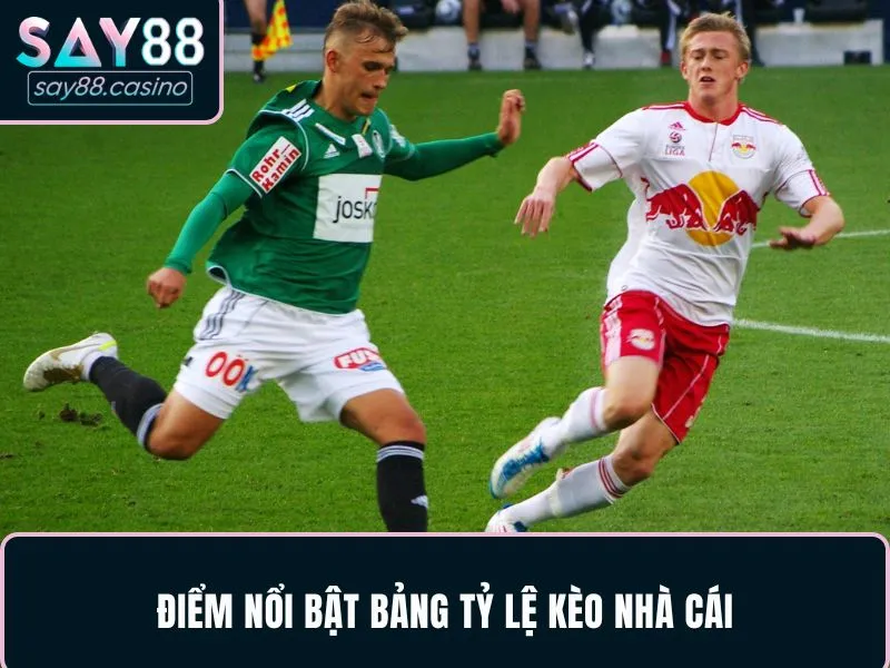 Điểm nổi bật bảng tỷ lệ kèo nhà cái