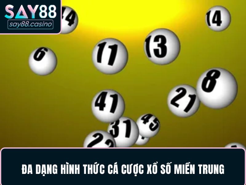 Nhiều hình thức cá cược tại XSMT cho thành viên có được trải nghiệm đa dạng